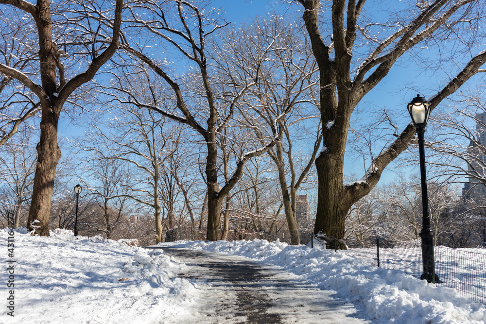Fototapeta premium Beautiful Empty Snow Covered Trail at Central Park during the Winter in New York City