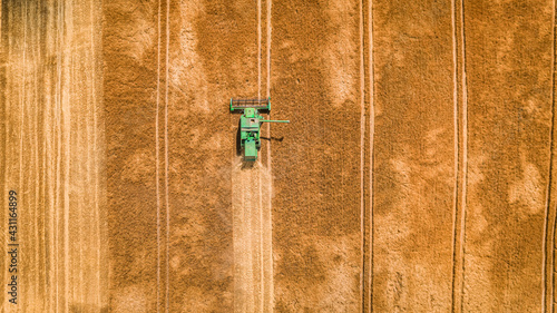 Harvester harvesting seed i...