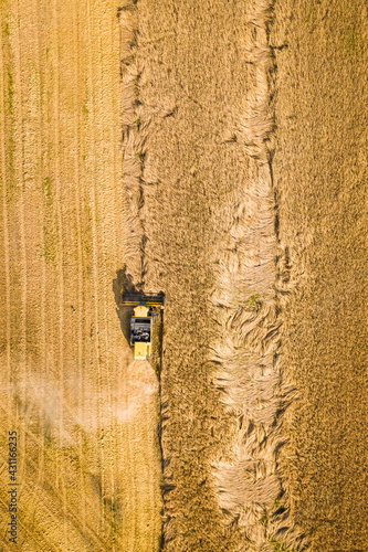 Combine harvesting field. A...