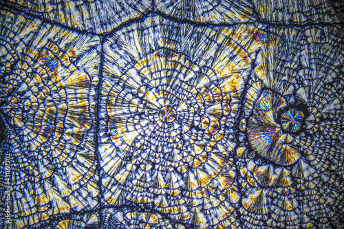 Wallpaper Mural Vitamin C crystals, colorful ascorbic acid, microscope Torontodigital.ca