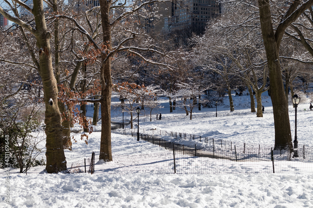 Beautiful Winding Snow Covered Trail with Trees at Central Park in New York City during the Winter