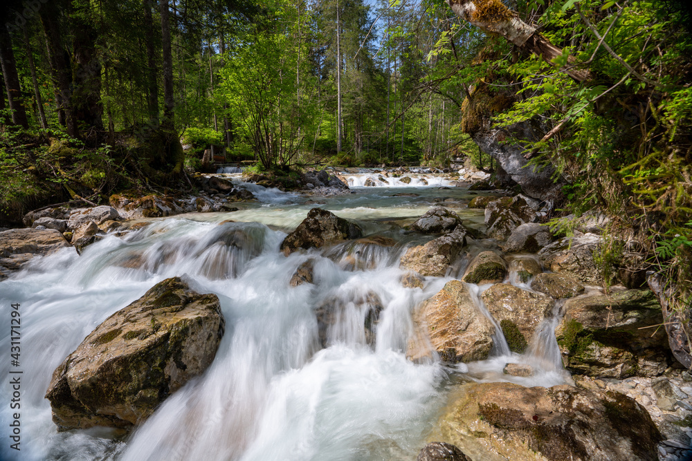 Hintersee Zauberwald