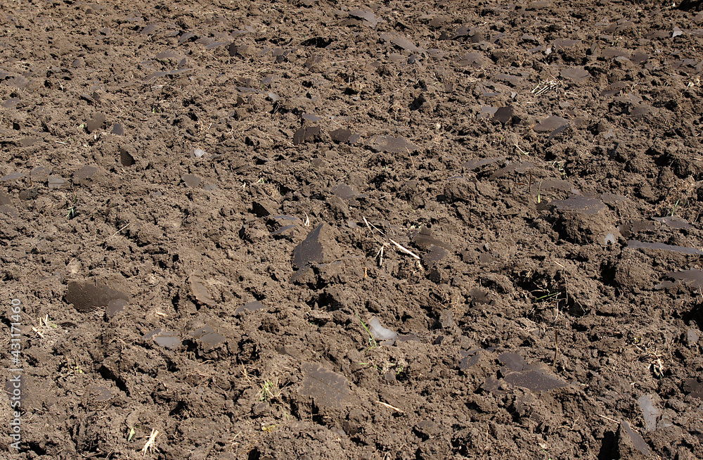Wet lumps of soil Wet lumps of soil