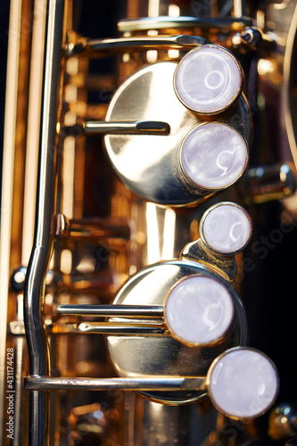 Canvas Print Saxophone jazz instruments