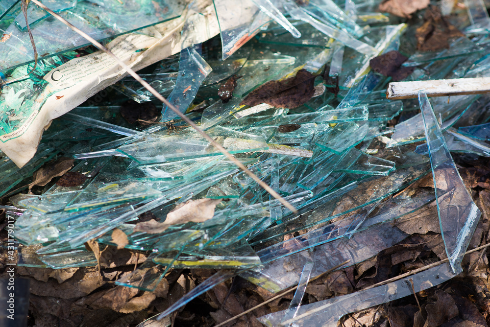 Rubbish in the forest, garbage, dump and trash Rubbish in the forest, garbage, dump and trash
