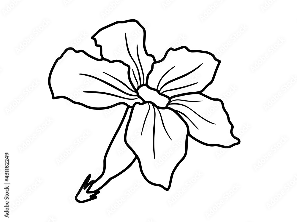 Hand drawing and sketch flower with line art illustration. Hand drawing and sketch flower with line art illustration.