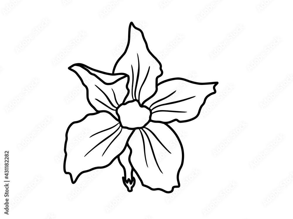 Hand drawing and sketch flower with line art illustration. Hand drawing and sketch flower with line art illustration.