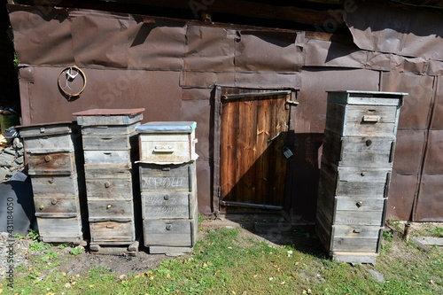 Bee hives in an apiary in the village of Charyshskoye, Altai Krai
