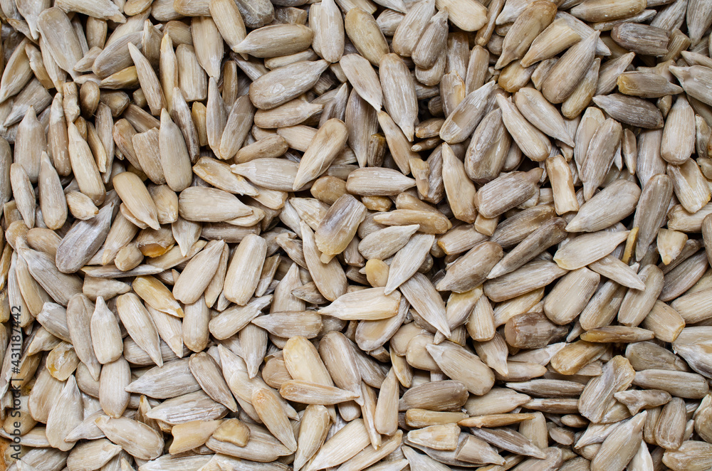 Dry organic sunflower seed background in soft brown tone Dry organic sunflower seed background in soft brown tone