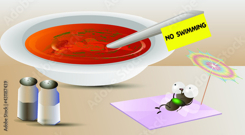 Fly and soup
