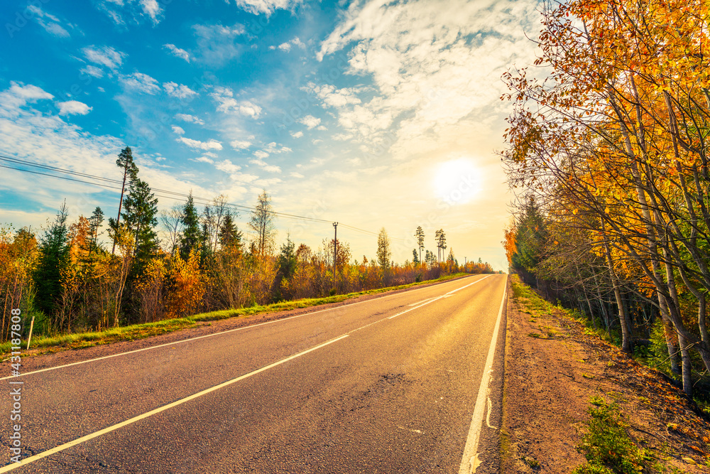 Fototapeta premium Suburban autumn road going up the hill. Mixed forest. Sunset. Autumn evening. Beautiful nature. Russia, Europe. View from the side of the road.