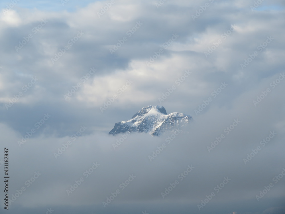 Säuling im Wolkenmeer