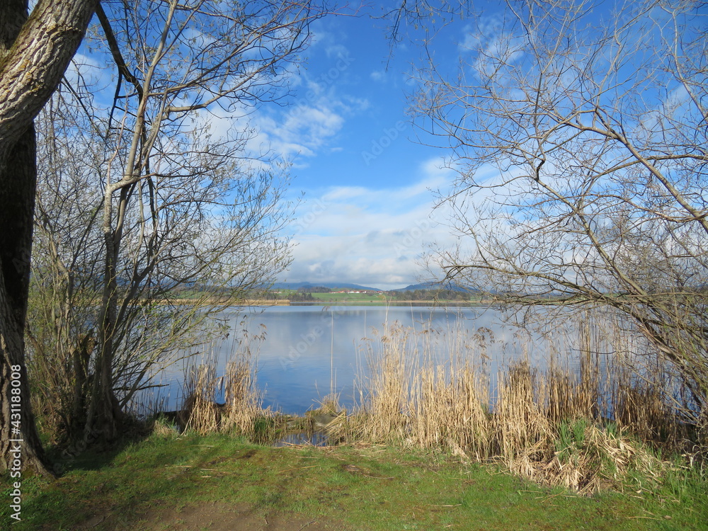 Hopfensee Frühlingsmorgen mit Wolkenspiel Hopfensee Frühlingsmorgen mit Wolkenspiel