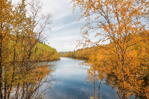 Golden autumn, Tuloma river (Kola Peninsula, Murmansk region)