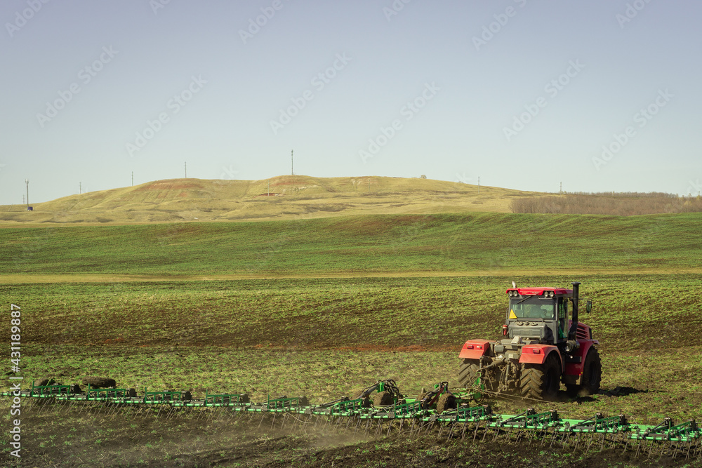 Fototapeta premium The tractor works on a green field.