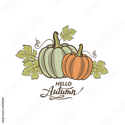 illustration of vegetable pumpkins with green leaves isolated on white background