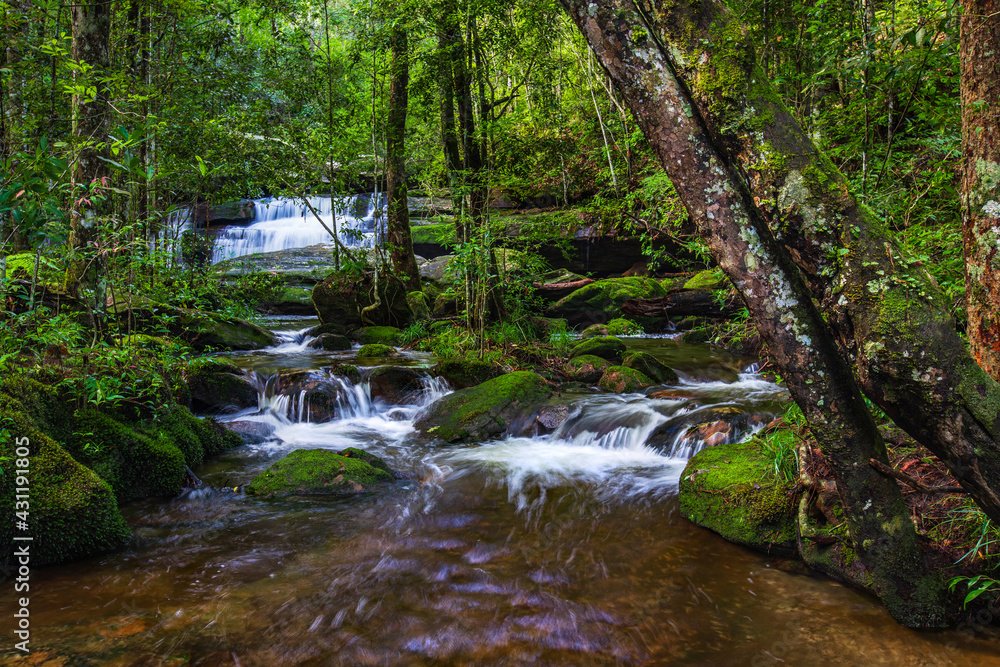 Beautiful waterfall in Phu-Kra-Dueng national park  Loei province, ThaiLand.