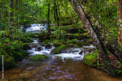 Beautiful waterfall in Phu-Kra-Dueng national park  Loei province  ThaiLand.