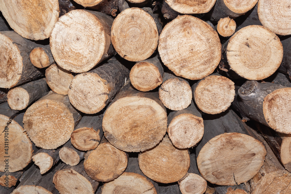 Evenly laid logs for heating houses and saunas. Evenly laid logs for heating houses and saunas.