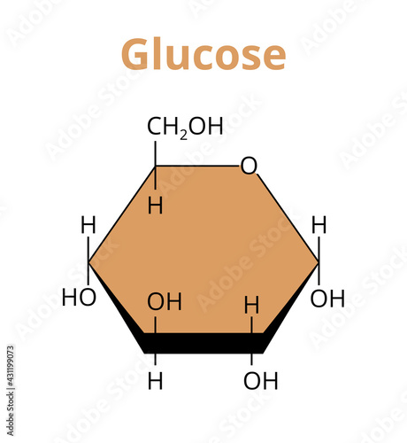 2D vector molecular structure of the monosaccharide glucose, simple sugar, the most abundant carbohydrate made by plants. The structural formula of ᴅ-Glucose, α-d-glucopyranose isolated on white.