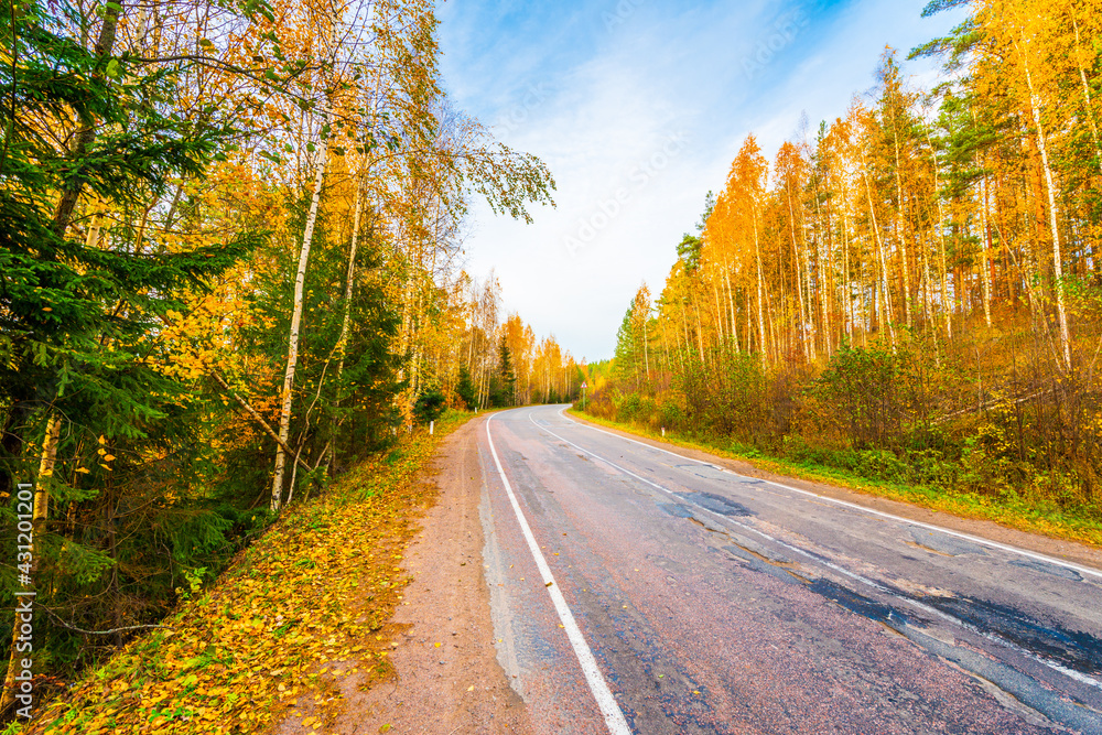 Turn the country broken road. Mixed forest. Cloudy weather. Autumn weather. Beautiful nature. Russia, Europe. View from the side of the road. Turn the country broken road. Mixed forest. Cloudy weather. Autumn weather. Beautiful nature. Russia, Europe. View from the side of the road.