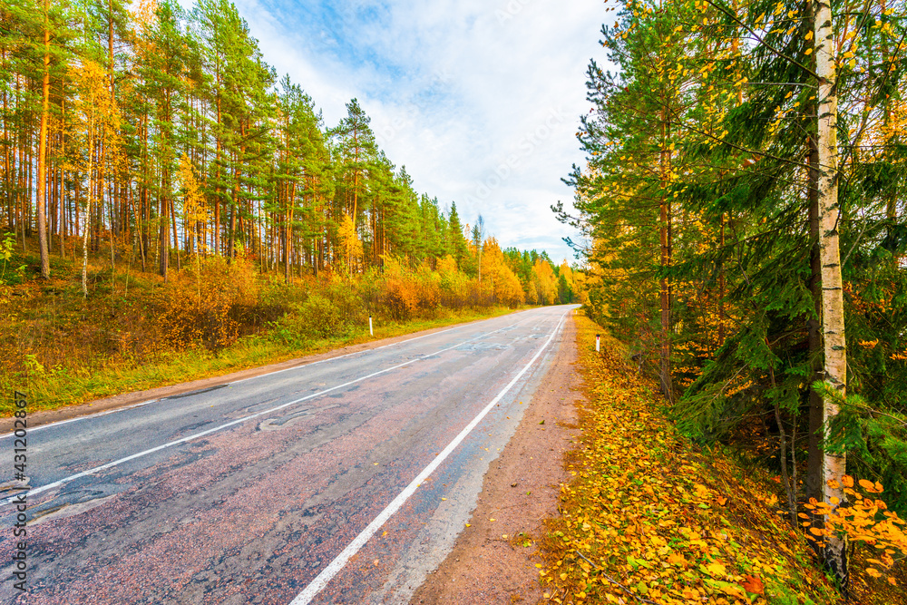 Turn the country broken road. Mixed forest. Cloudy weather. Autumn weather. Beautiful nature. Russia, Europe. View from the side of the road.
