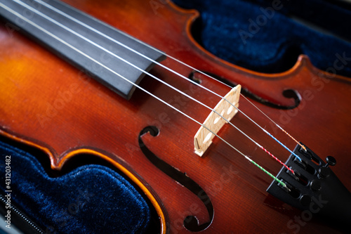 A close up of a syphony violin set against a black background