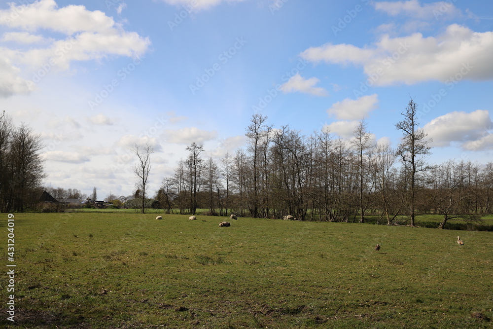 A pasture with sheep and a farm in the distance. A pasture with sheep and a farm in the distance.