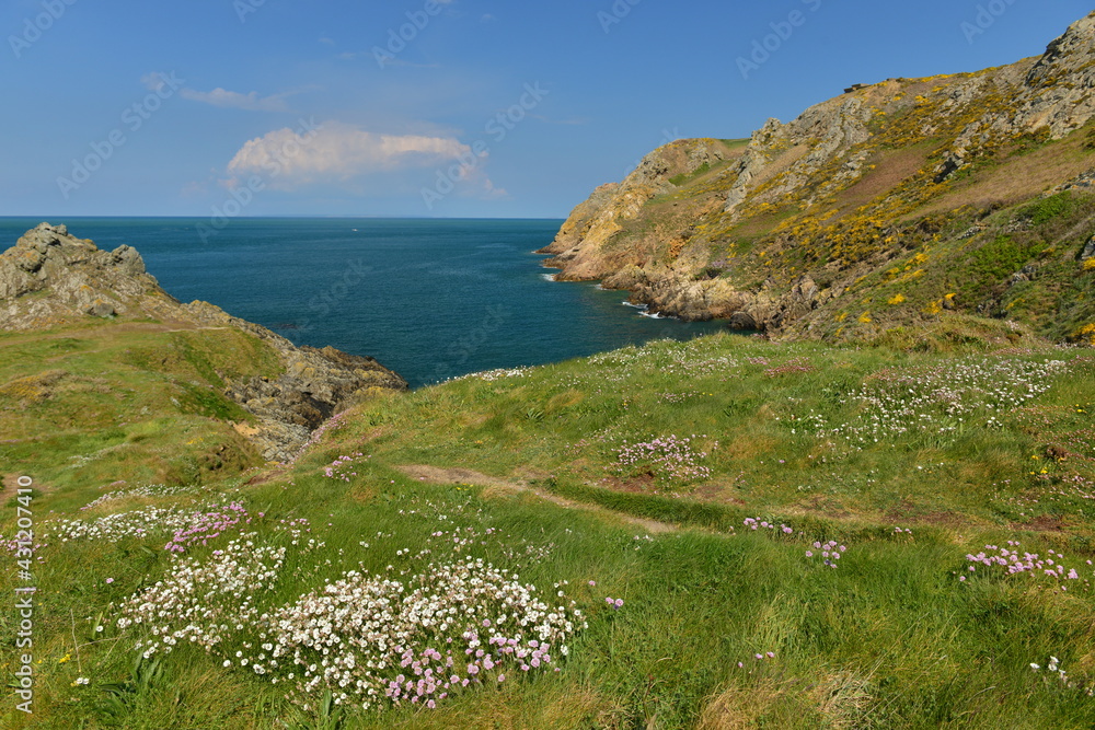 Le Pulec, Jersey, U.K. Coastal cliffs in Spring.