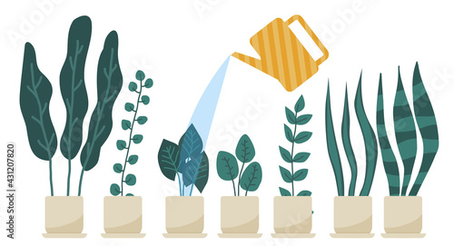 Watering houseplants in flowerpots set isolated vector illustration.