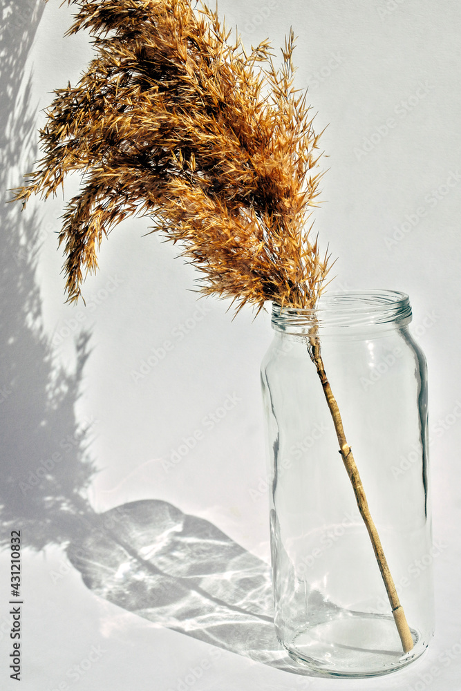 wheat in glass