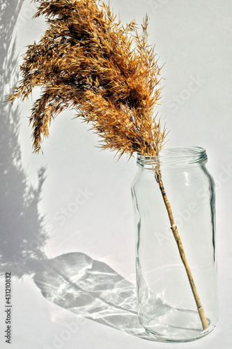 Obraz na płótnie wheat in glass w salonie