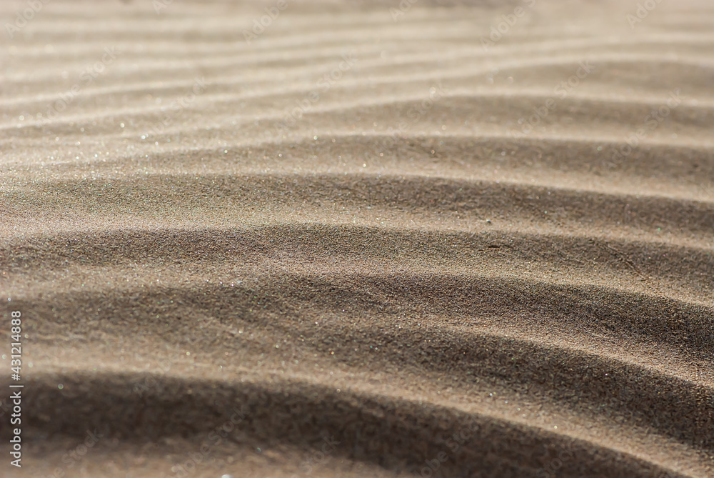 Background image of close-up yellow waves of sand in nature park of Jandia on deserted island Fuerteventura Background image of close-up yellow waves of sand in nature park of Jandia on deserted island Fuerteventura