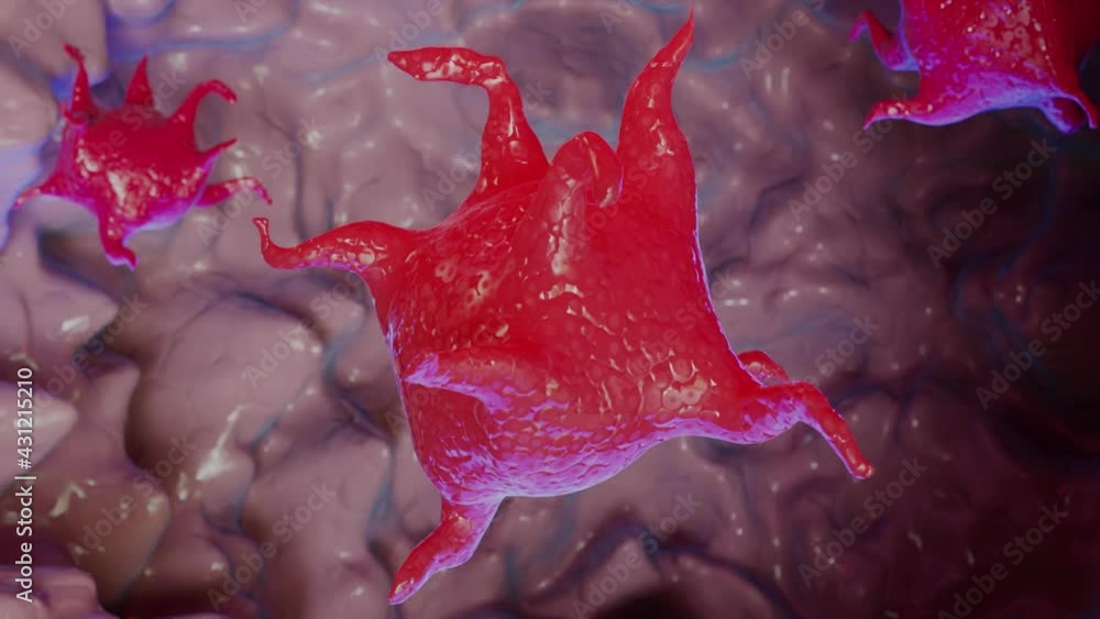 Animated Platelets, blood cell, 3d render Animated Platelets, blood cell, 3d render