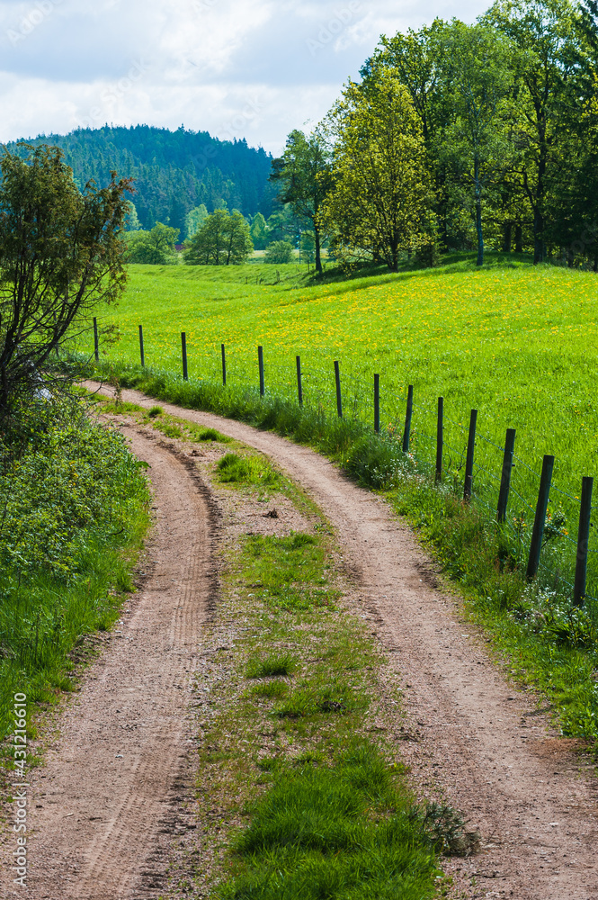 Gravel road in countryside, Sweden