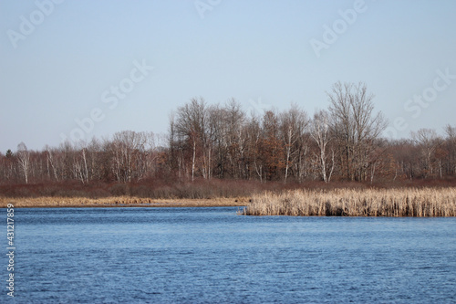 The Marsh in Early Spring