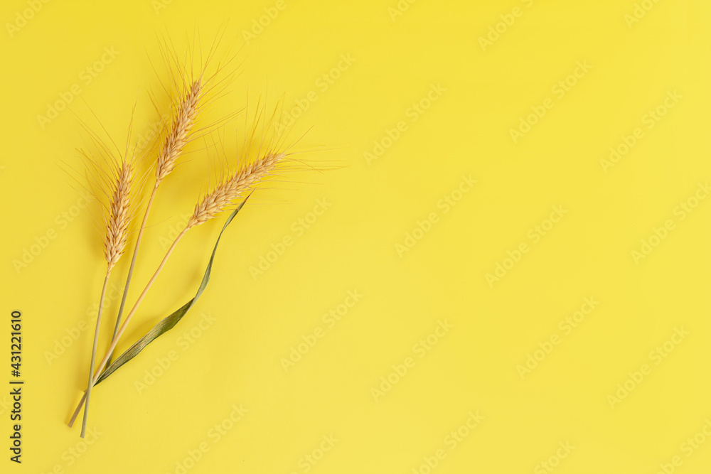 Obraz premium Cookies with cinnamon in the form of a heart, ears of wheat yellow background. Concept of Jewish holiday - Shavuot. Top view. 