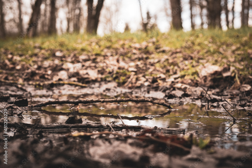 Fototapeta premium Puddle