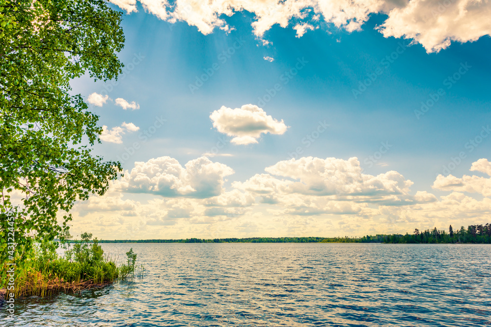 Forest lake with trees growing on the shore. View from the shore. Waves on the lake. Cumulus clouds. Sunlight illuminates the clouds. Summer day. Beautiful nature. Russia, Europe.