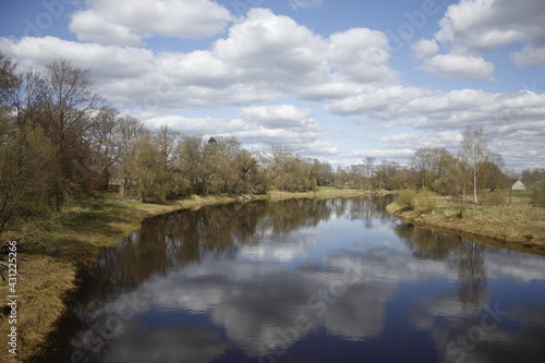 the river in the forest