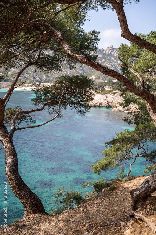 Parc national des calanques, Marseille, France. Calanque de Sormiou au printemps.