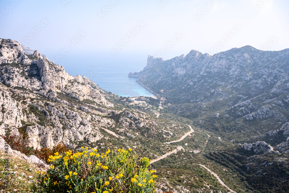 Parc national des calanques, Marseille, France. Calanque de Sormiou au printemps. Fleurs jaunes sauvages au premier plan.