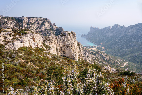 Obraz na płótnie Parc national des calanques, Marseille, France. Calanque de Sormiou au printemps. Fleurs de romarin au premier plan. w salonie