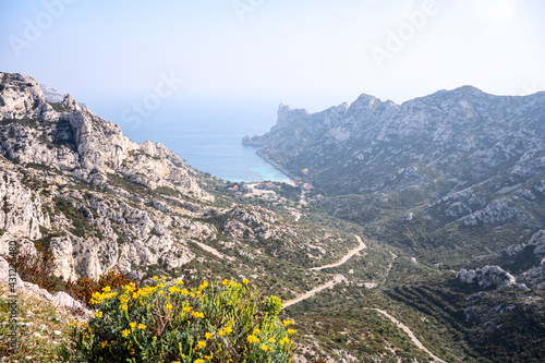 Obraz na płótnie Parc national des calanques, Marseille, France. Calanque de Sormiou au printemps. Fleurs jaunes sauvages au premier plan. w salonie