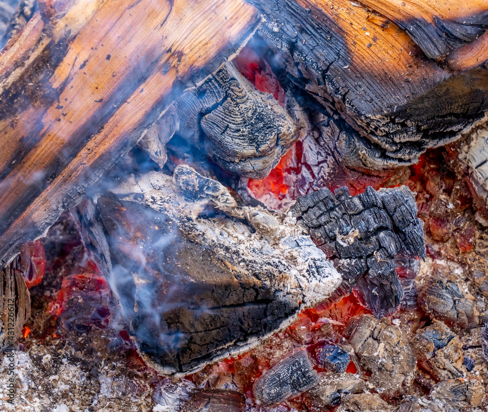 Close up of a red fire flame on a burning firewood tree. Warm winter evening near fireplace, cooking on fire