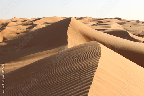 Dunes of Wahiba sands  Oman