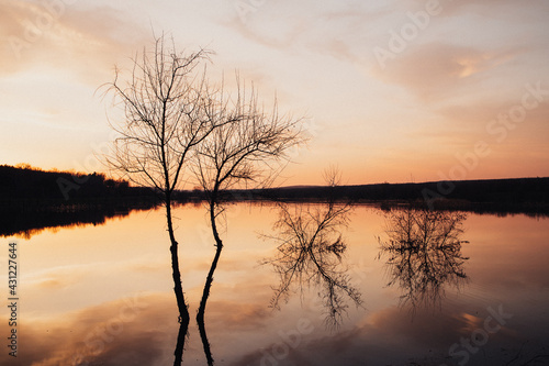 Mysterious lake landscape photo. Trees silhouettes without leaves reflection on a water.