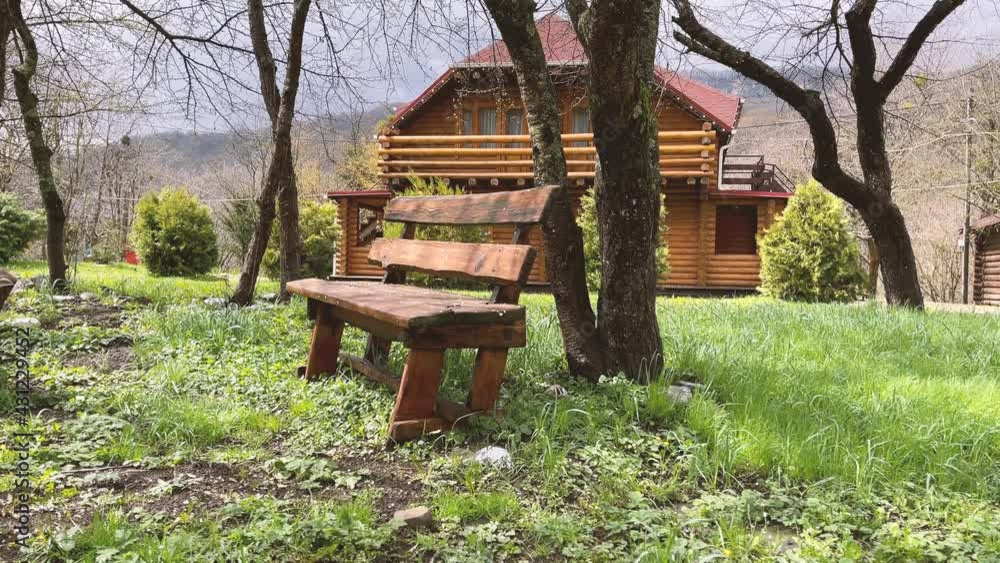 Close up of wooden bench near tree in countryside. Wooden pew on lawn for outdoor recreation. Close up of wooden bench near tree in countryside. Wooden pew on lawn for outdoor recreation.