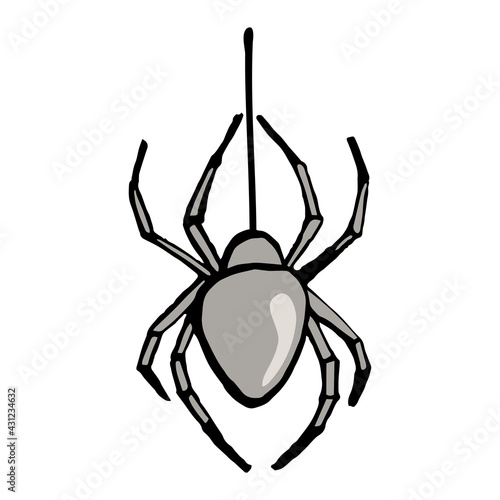 Spider on web illustration. Isolated on white background.