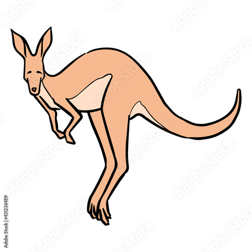 Hand drawn jumping kangaroo color vector illustration